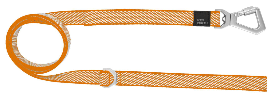 Pet Life ® 'Escapade' Outdoor Series 2-in-1 Convertible Dog Leash and Harness