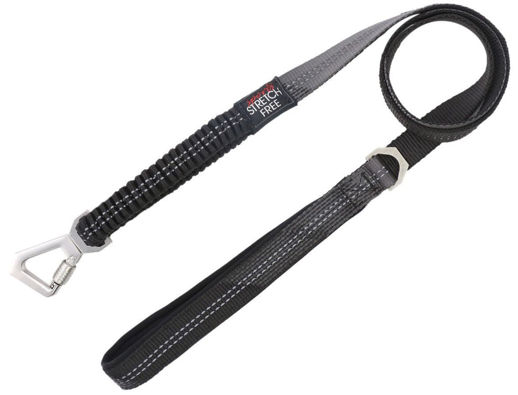 Pet Life ® 'Geo-prene' 2-in-1 Shock Absorbing Neoprene Padded Reflective Dog Leash and Collar