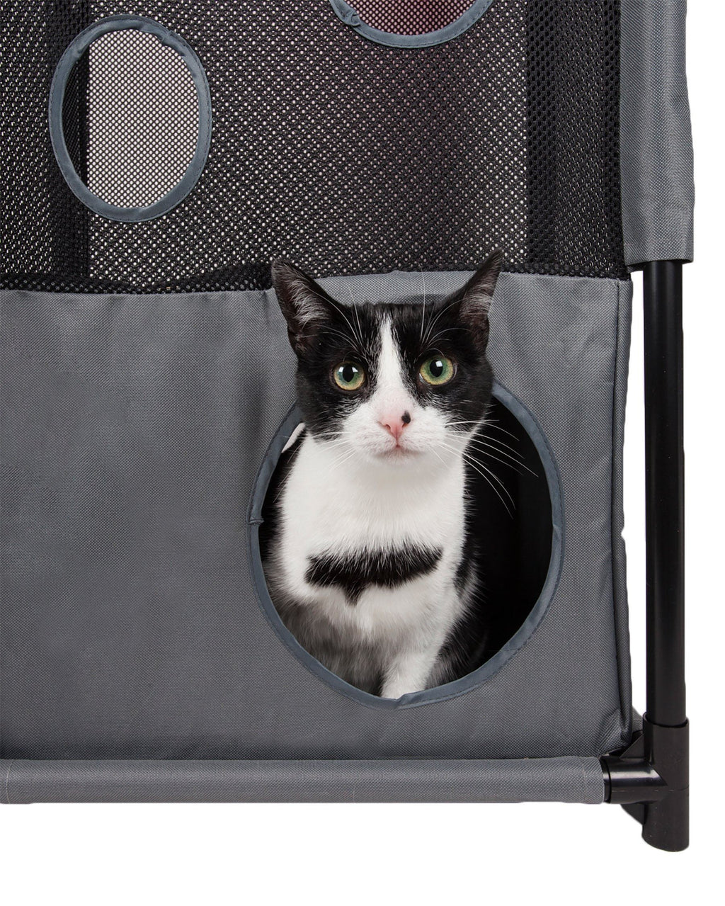 Pet Life ® 'Kitty-Square' Collapsible Travel Interactive Kitty Cat Tree Maze House Lounger Tunnel Lounge