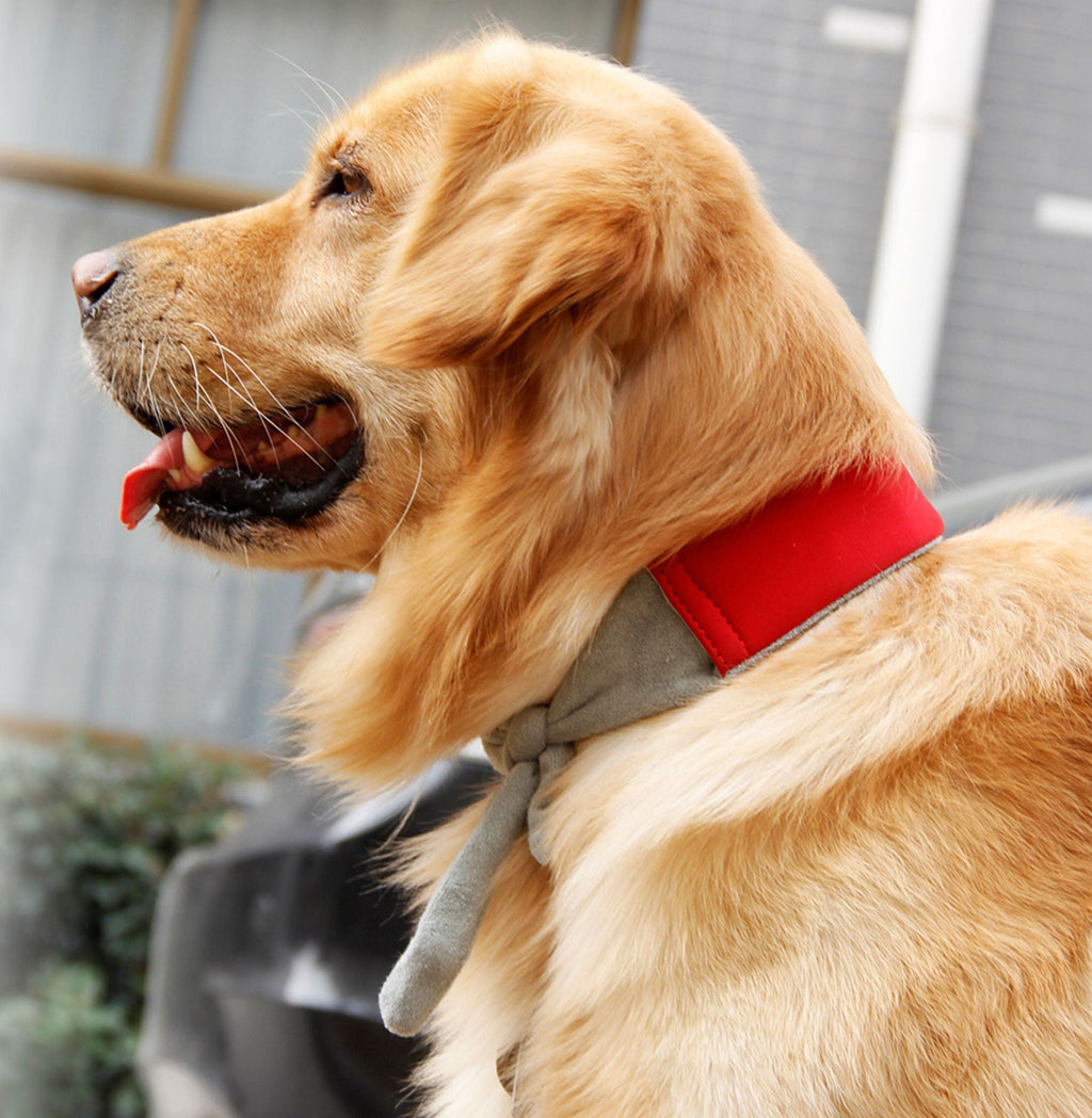 Pet Life ® 'Neo-Breeze' Insertable and Adjustable Cooling Dog Neck Wrap