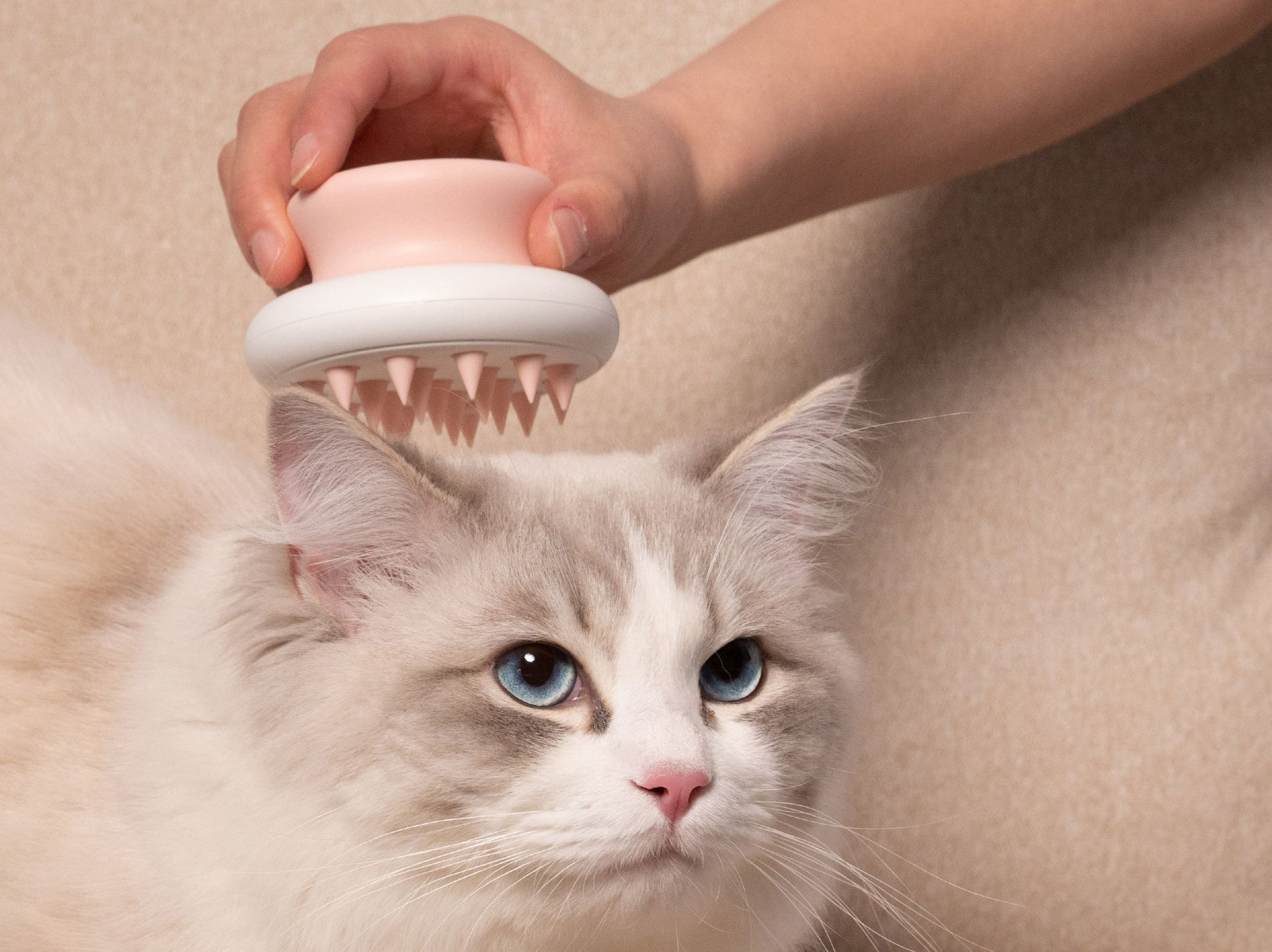 Pet Life ® 'Scwubba' Handheld Bathing Brushing and Massaging Soft Flexible Grooming Pet Comb
