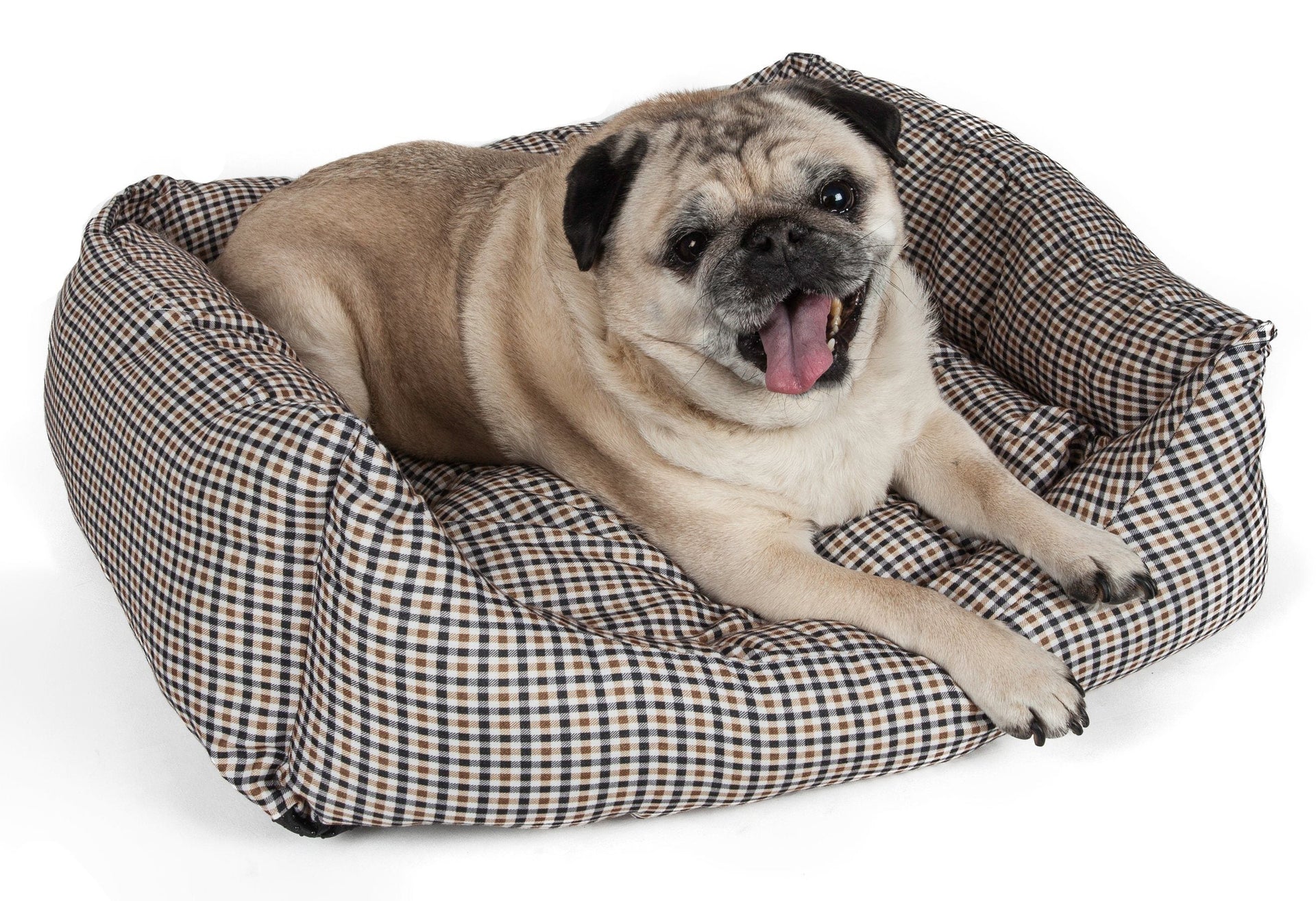 Rectangular Wick-Away anti-bacterial dog bed with accented removable cushion