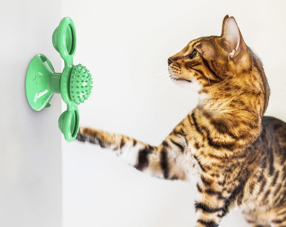 Windmill Rotating Suction Cup Cat Toy with Catnip & LED Light