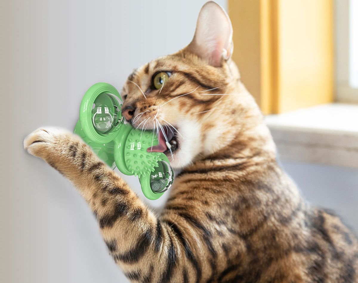 Windmill Rotating Suction Cup Cat Toy with Catnip & LED Light