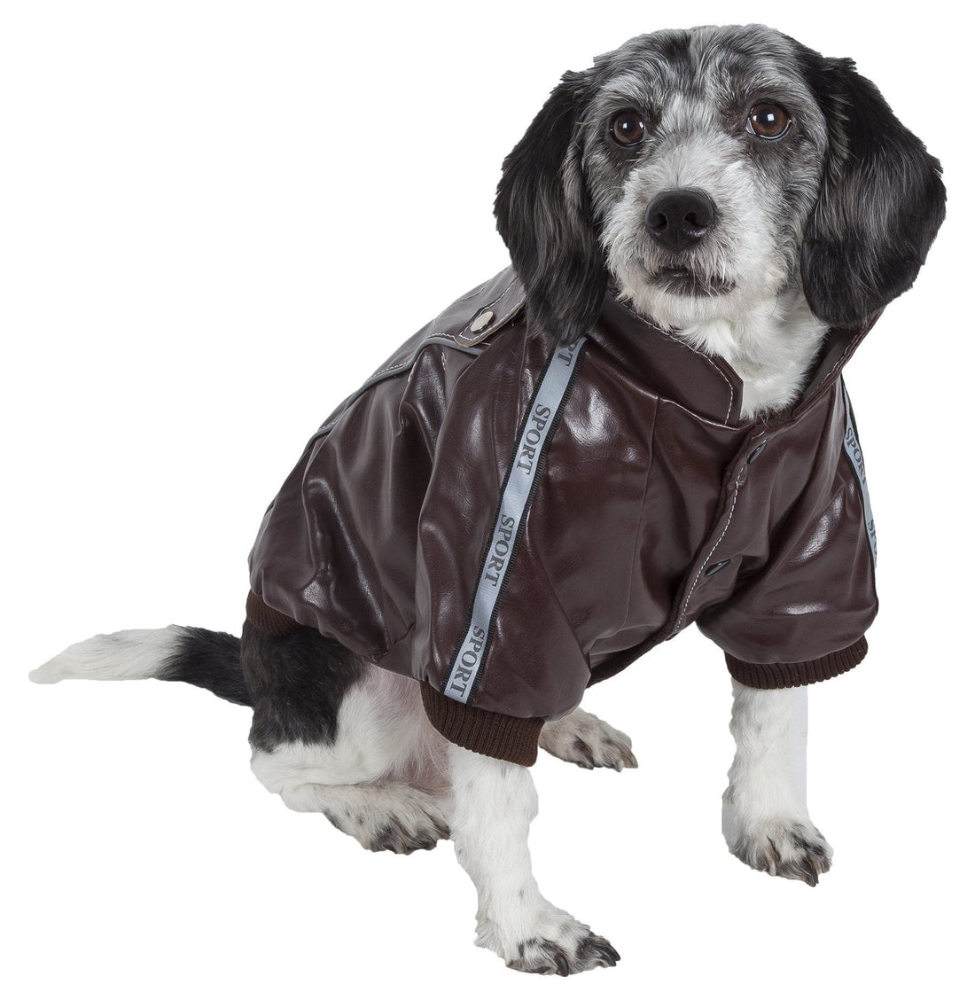A dog wearing a brown Wuff-Rider fashion suede jacket with back cross-stitching and snap button closures.