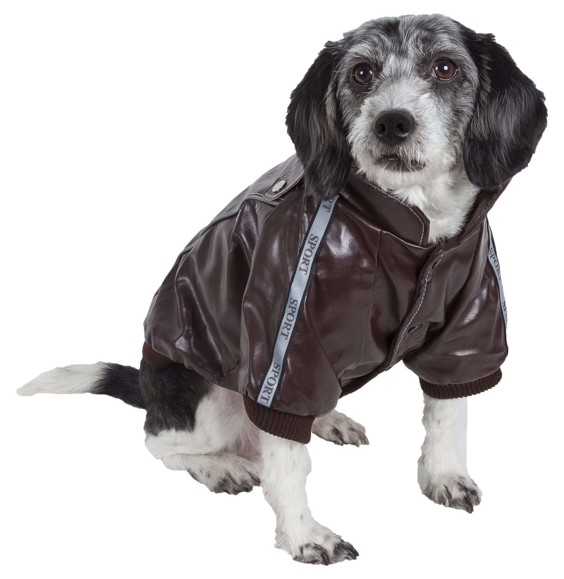 A dog wearing a brown Wuff-Rider fashion suede jacket with back cross-stitching and snap button closures.