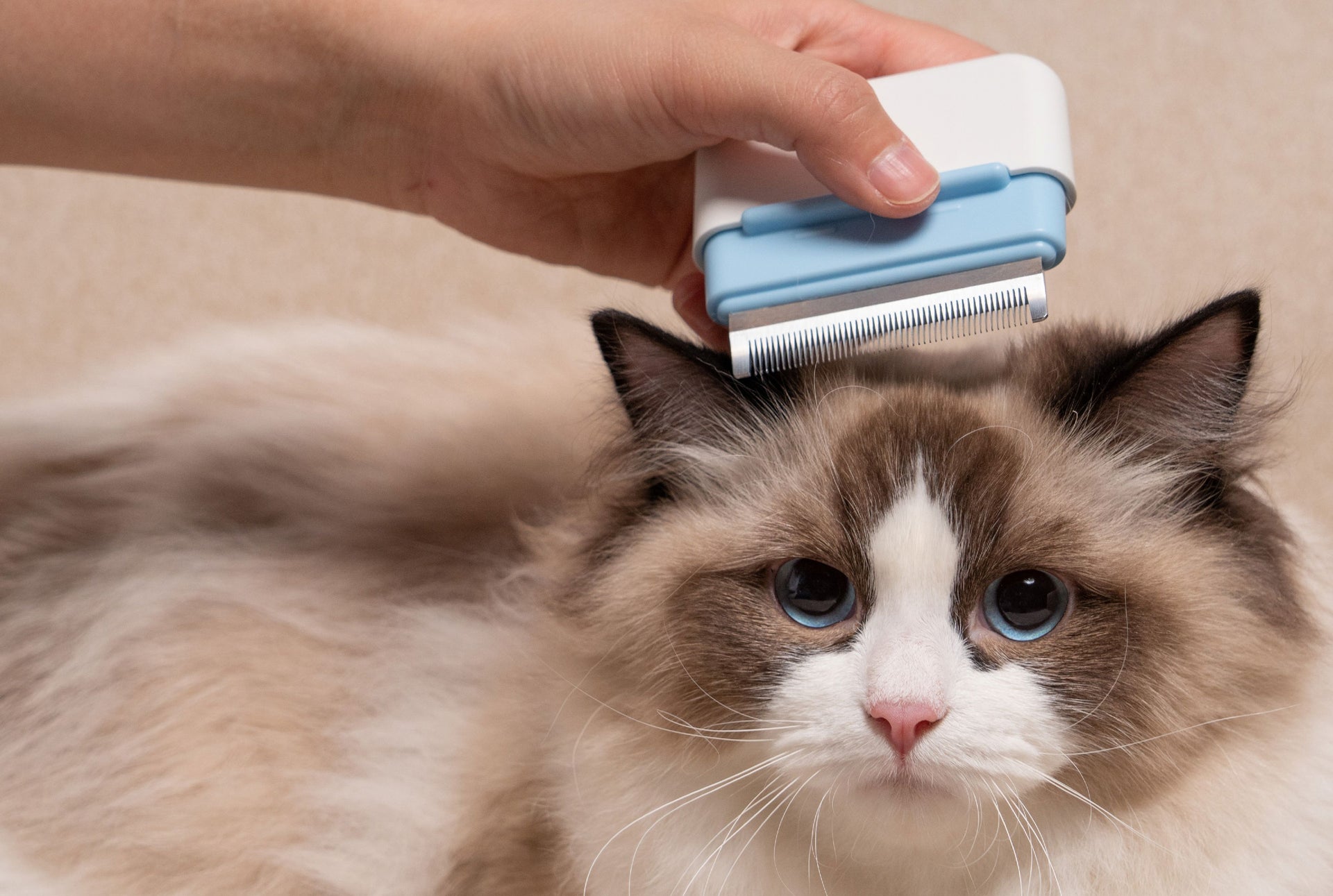 Zipocket 2-in-1 Travel Grooming Pet Comb and Underrake Tool - Image 5