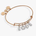 Pet Love multi charm bangle with gold base and silver paw print charm