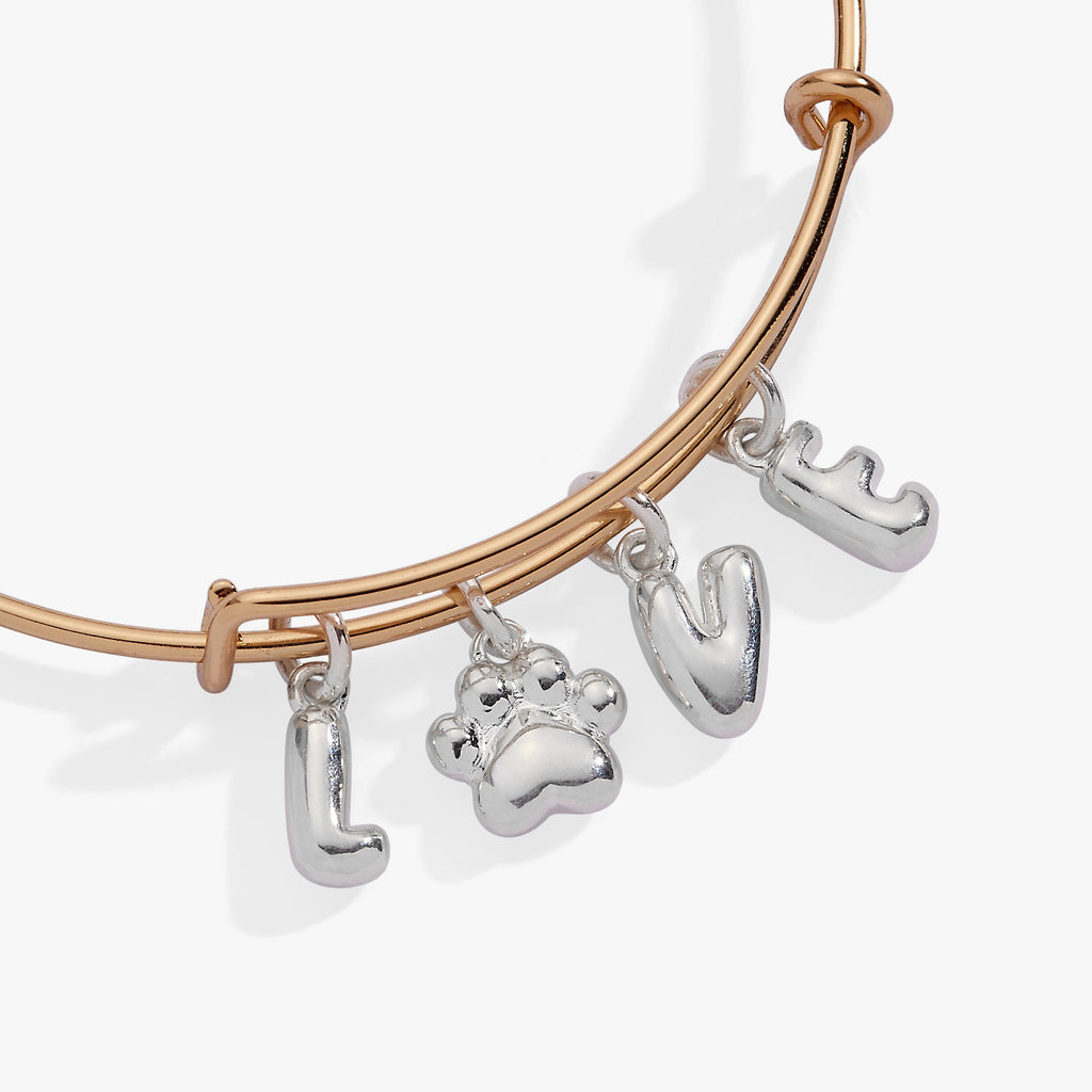 Pet Love Multi Charm Bangle with Paw Print Gold and Silver