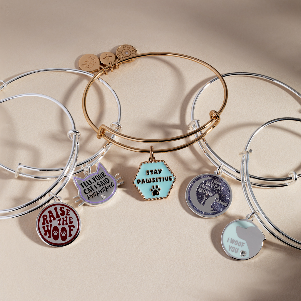 Raise the Woof Dog Charm Bangle Bracelet in Silver and Maroon