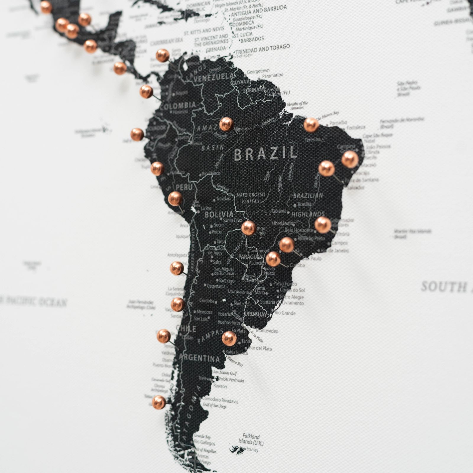 Rose Gold Canvas Push Pins for Travel Maps