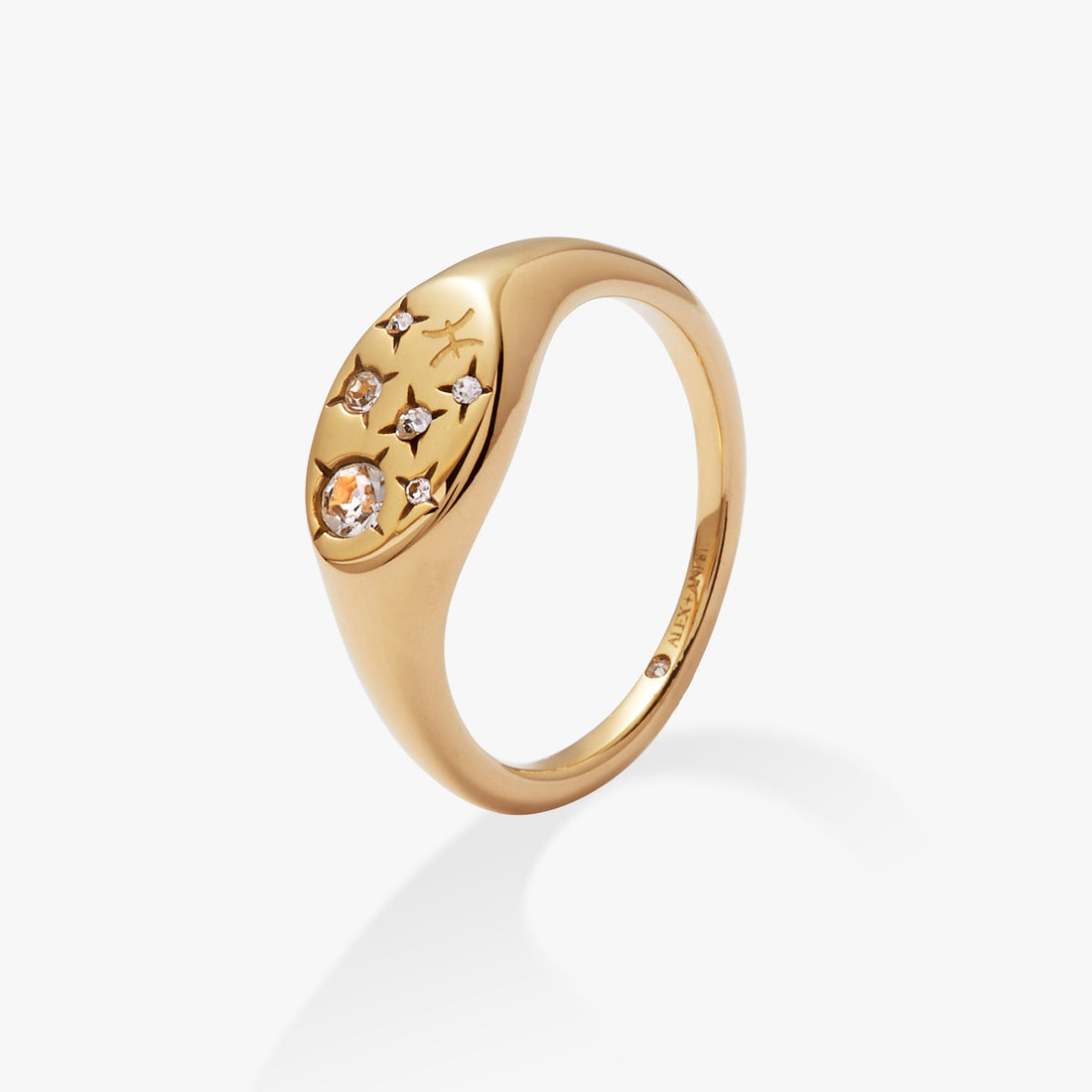 Pisces Zodiac Signet Ring with Crystal Constellation Details