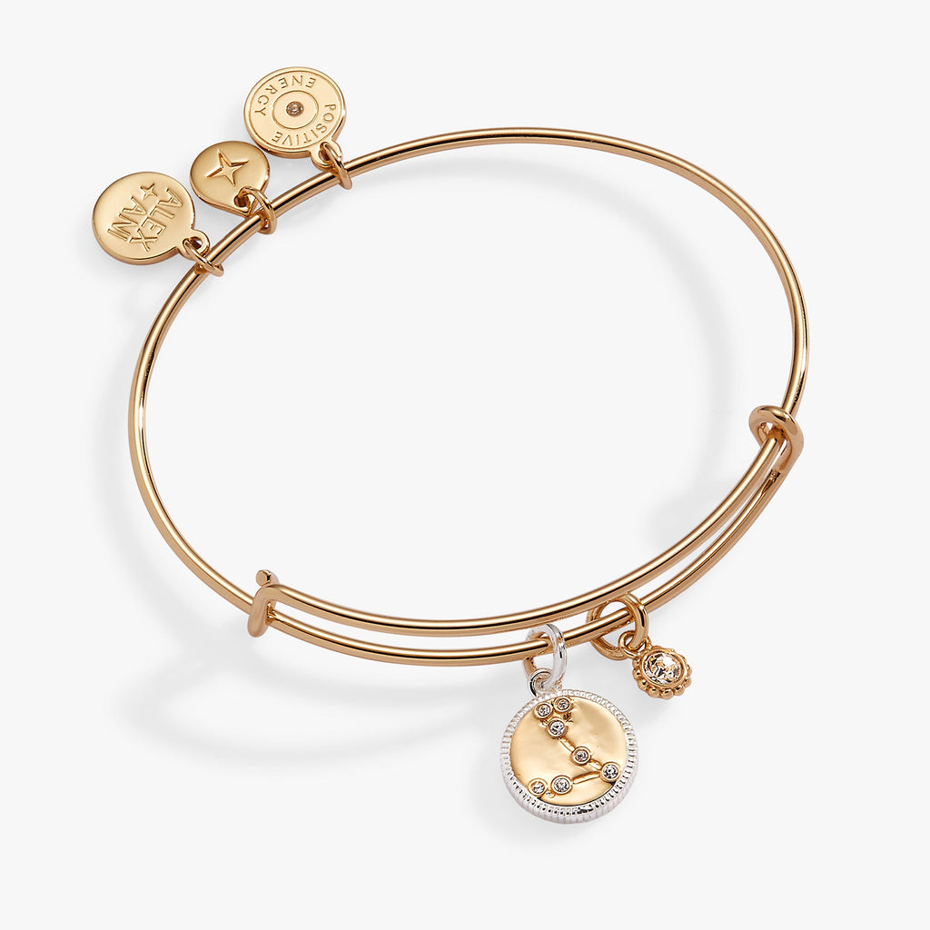 Two-tone gold and silver Pisces zodiac charm bangle with crystal constellation detail