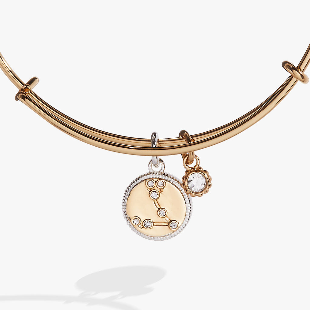 Pisces Zodiac Constellation Two-Tone Charm Bangle Bracelet