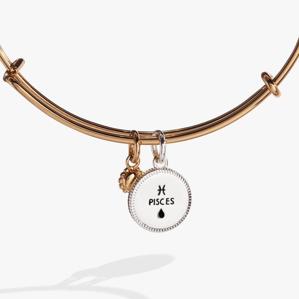 Pisces Zodiac Constellation Two-Tone Charm Bangle Bracelet
