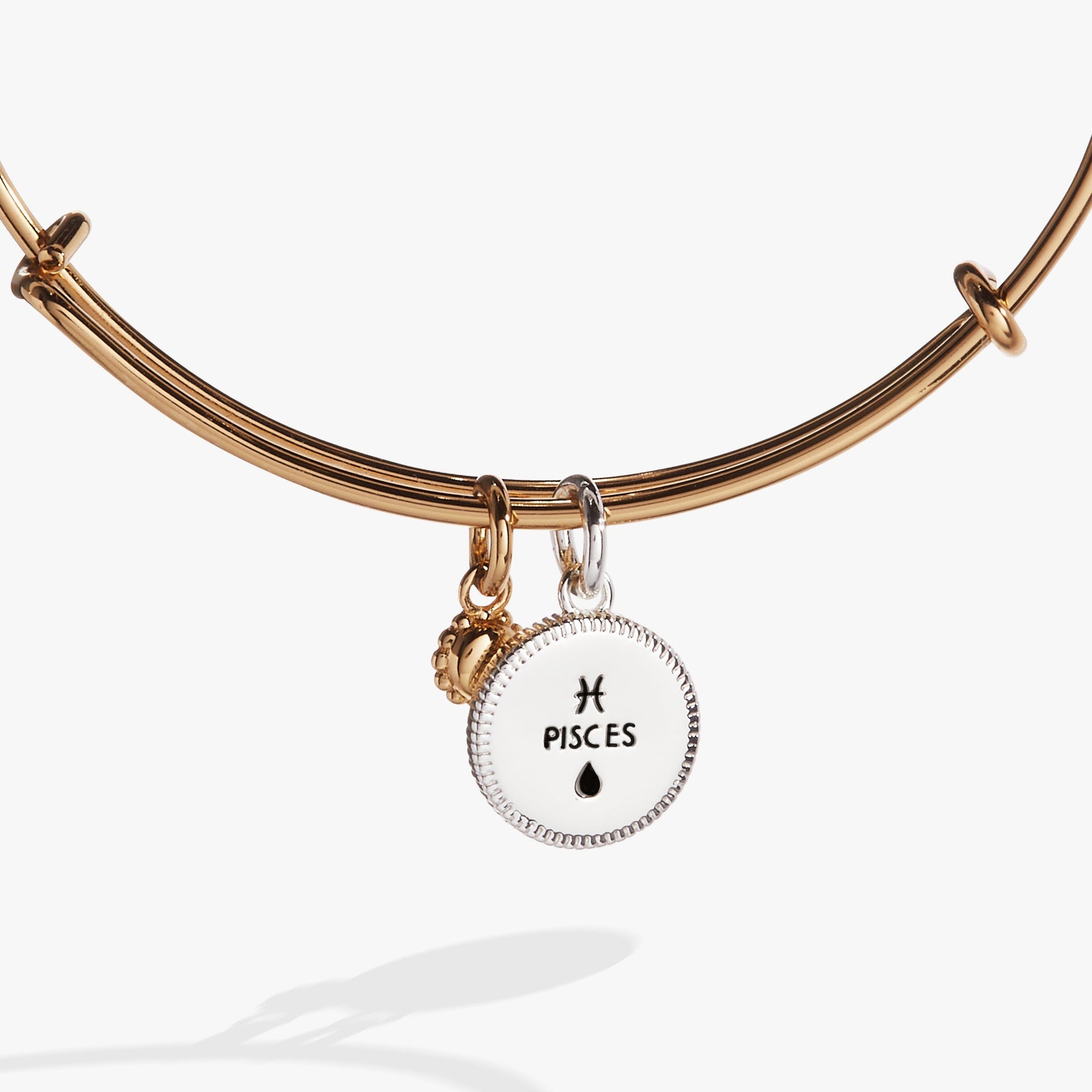 Pisces Zodiac Constellation Two-Tone Charm Bangle Bracelet