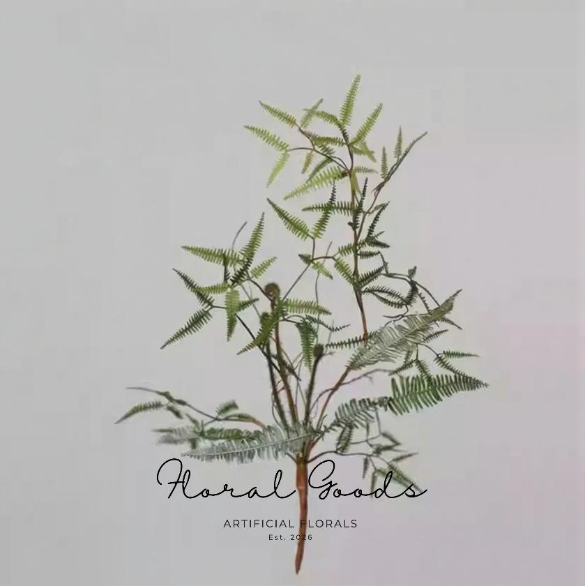 Airy Fern Branch