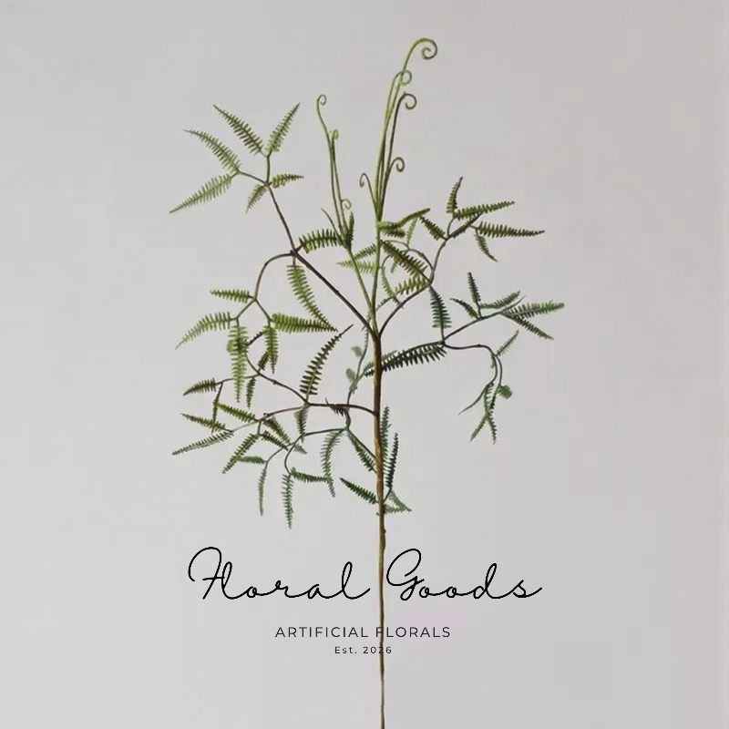 Airy Fern Branch