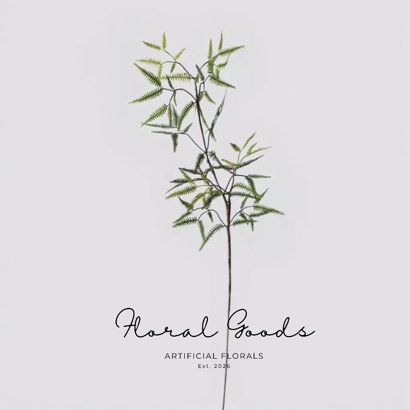 Airy Fern Branch