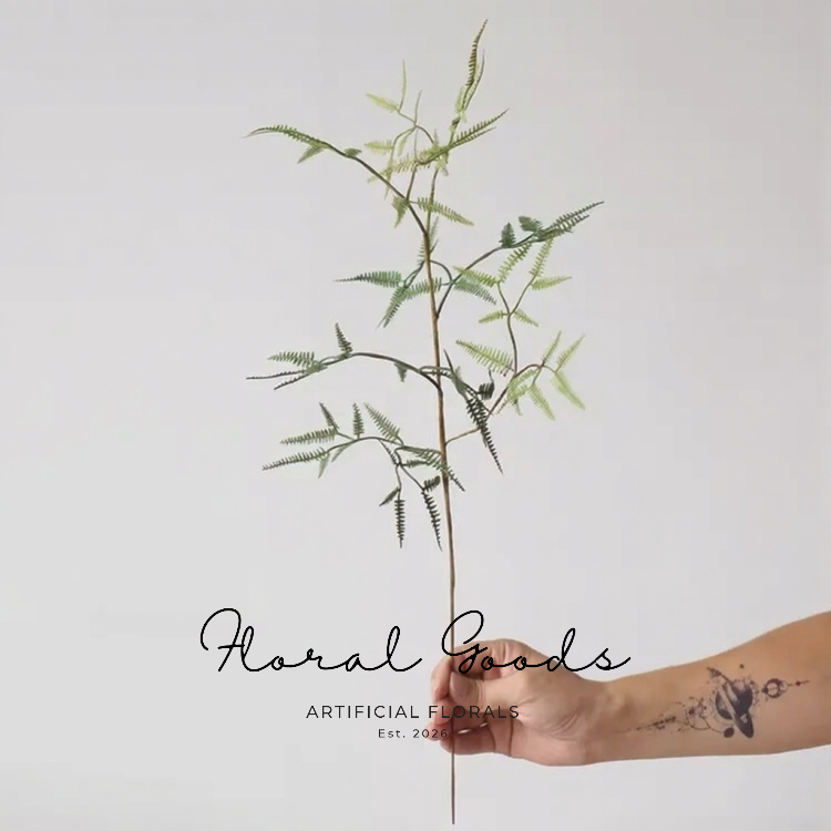 Airy Fern Branch