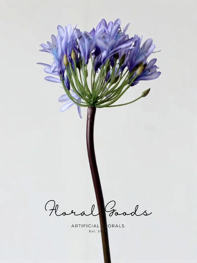 Elegant Agapanthus Stem – 25.6"