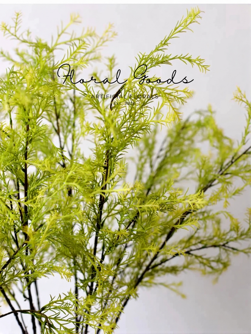 Airy Cedar Branch – 41.3"