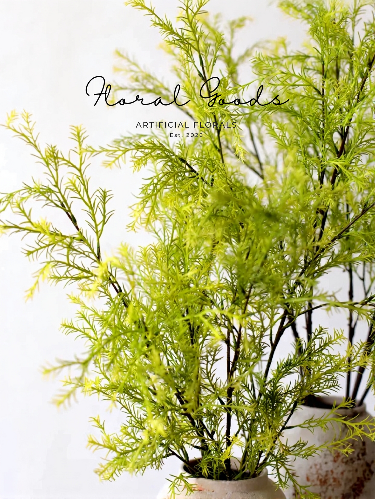 Airy Cedar Branch – 41.3"