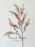 Airy Cedar Branch – 41.3"