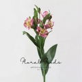Garden Alstroemeria Spray – 23.6"