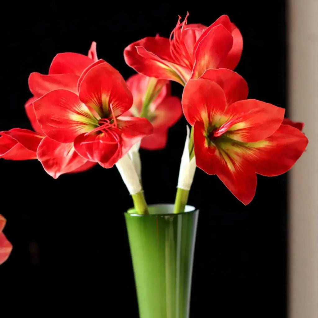 Elegant Amaryllis Stem – 26.5"