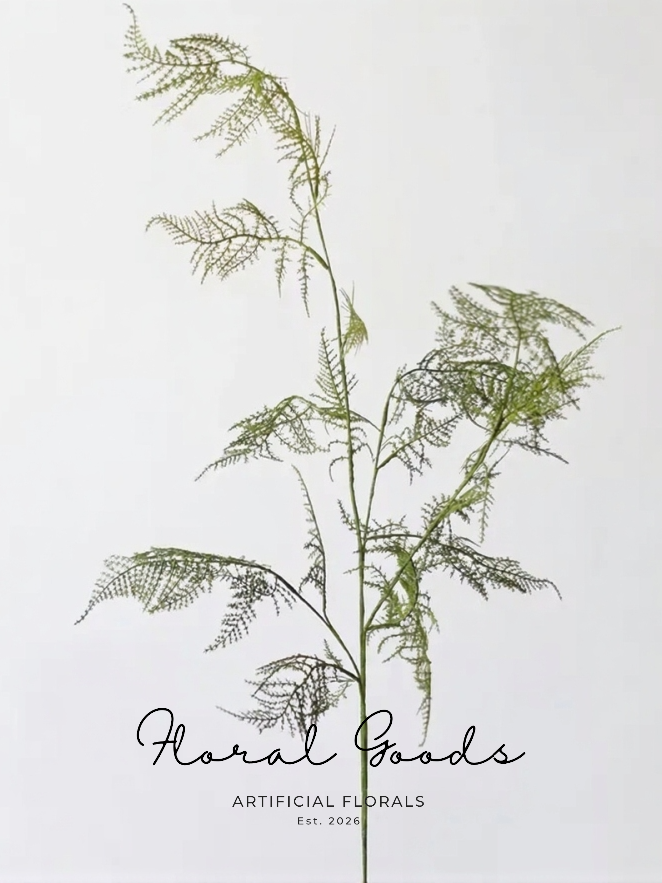 Airy Asparagus Fern Branch