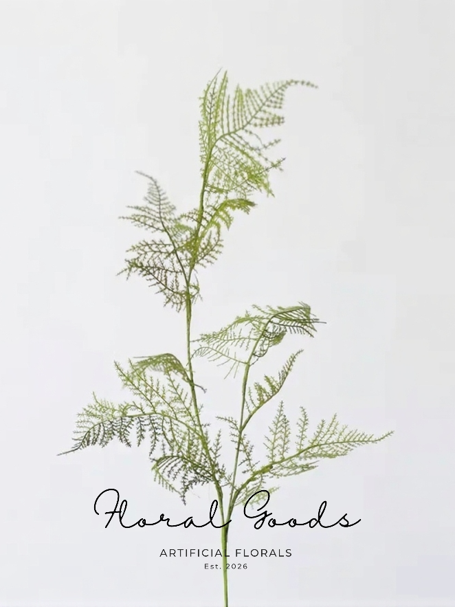 Airy Asparagus Fern Branch