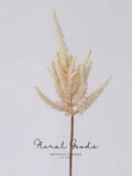 Blush Astilbe Spray
