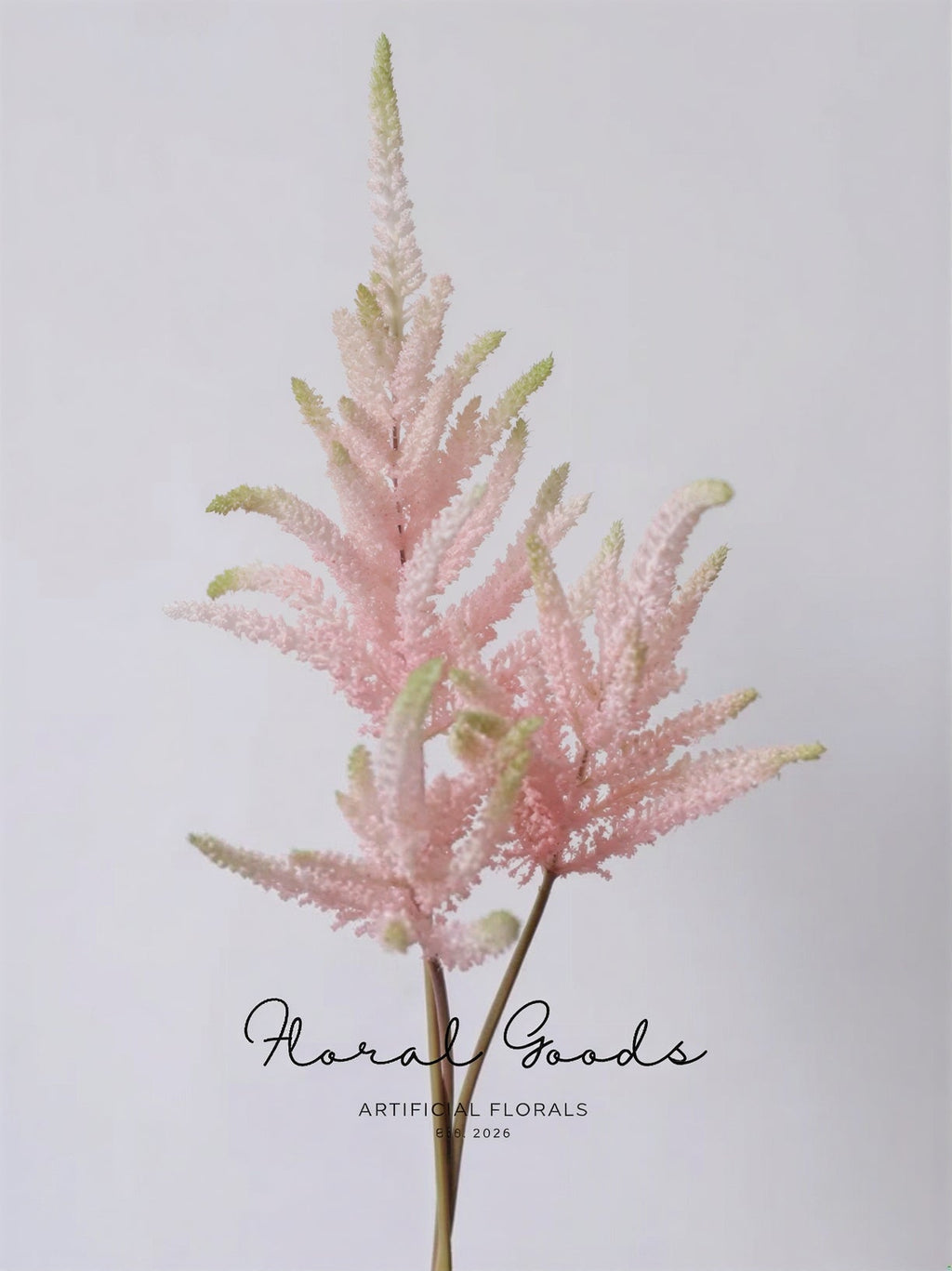 Blush Astilbe Spray