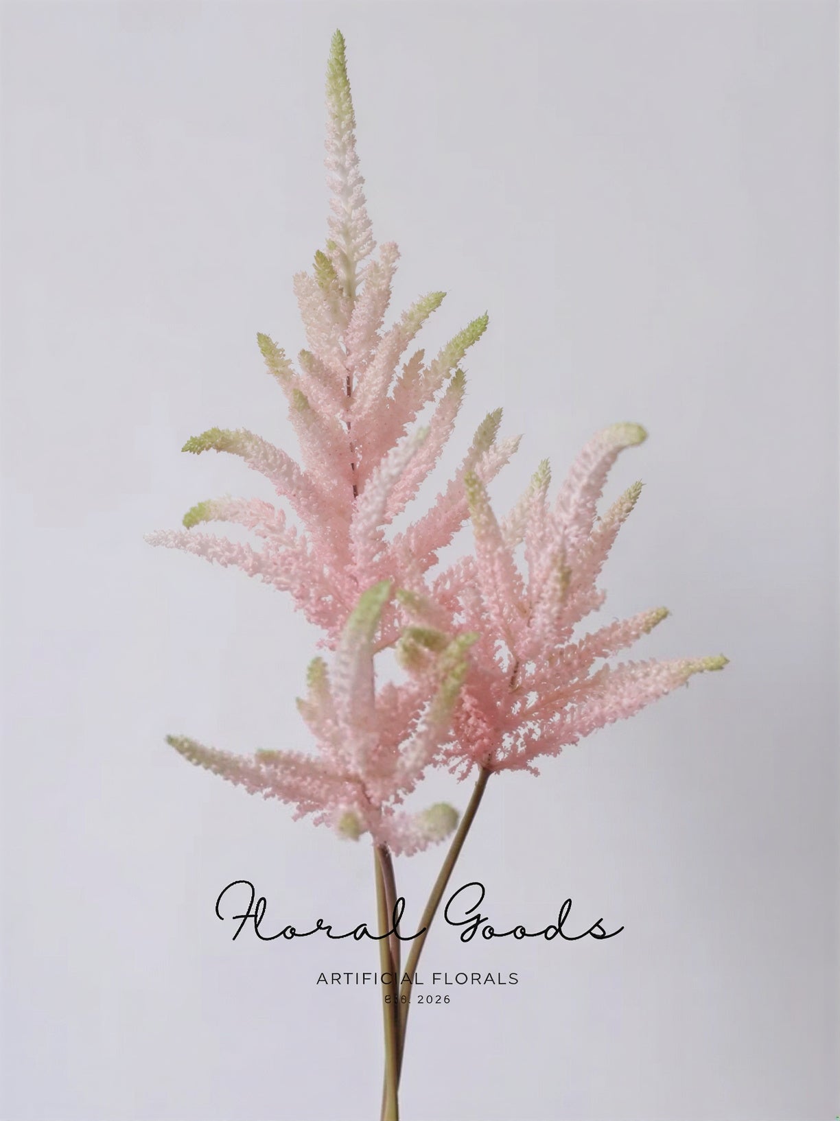 Blush Astilbe Spray
