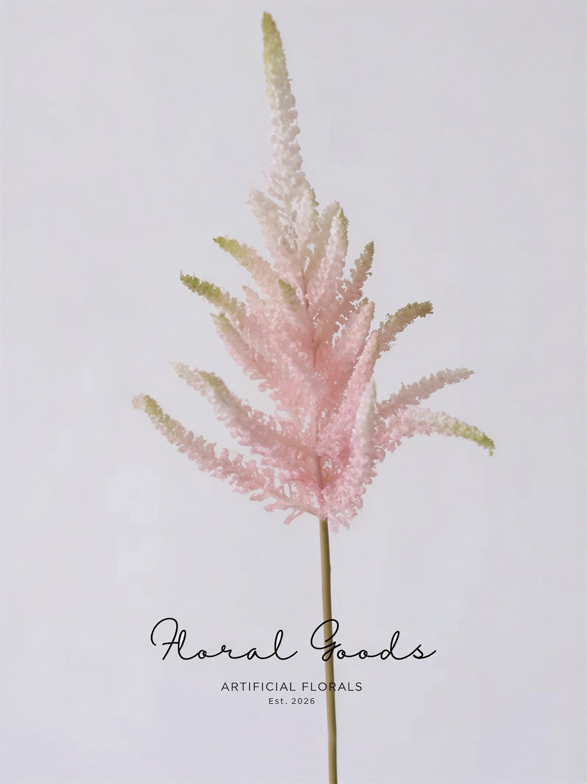 Blush Astilbe Spray