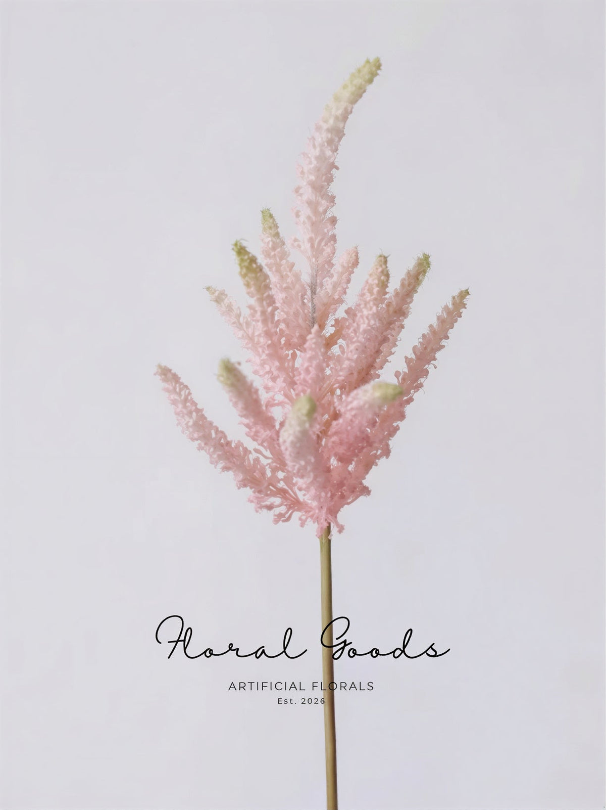Blush Astilbe Spray