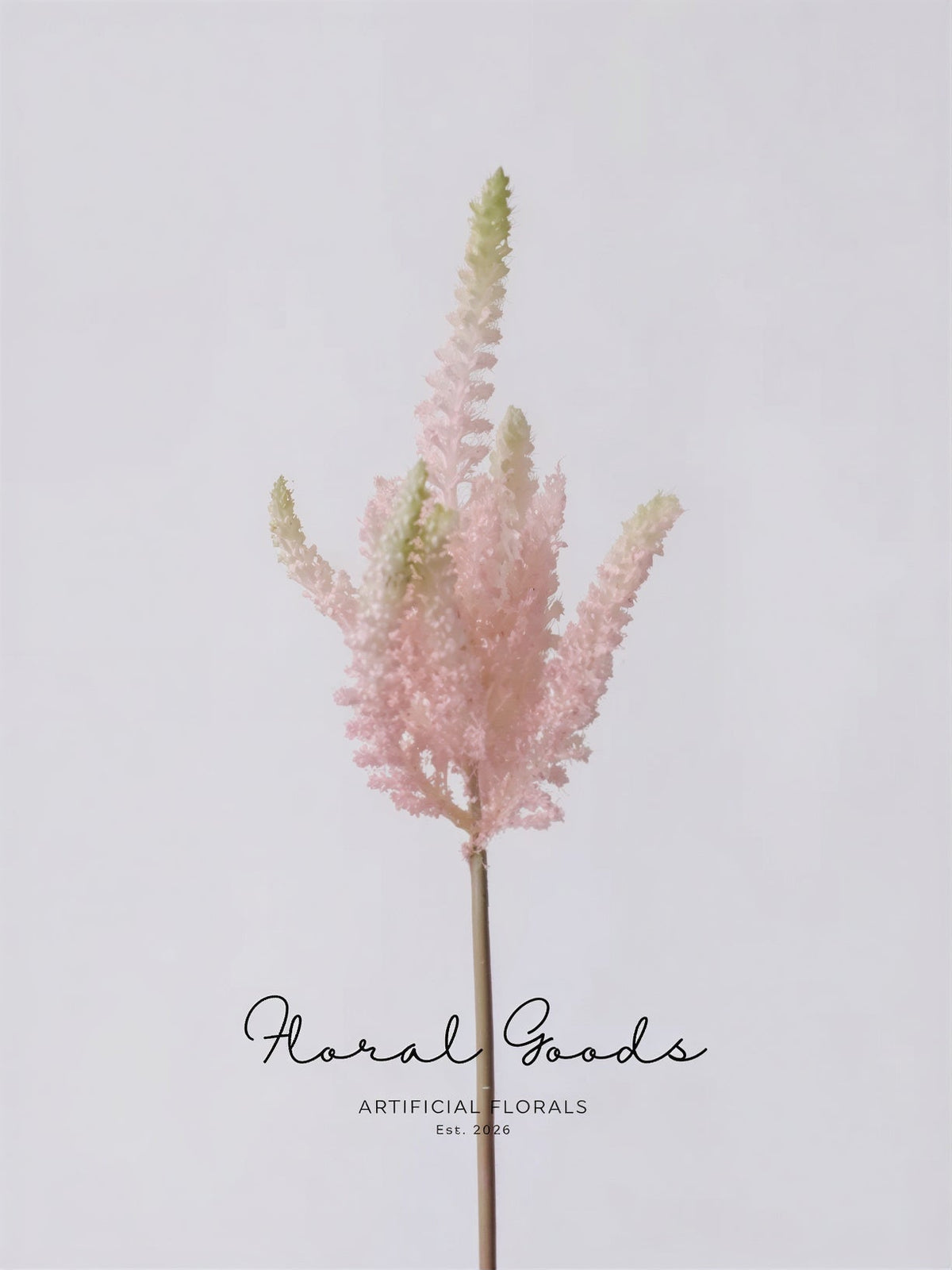 Blush Astilbe Spray