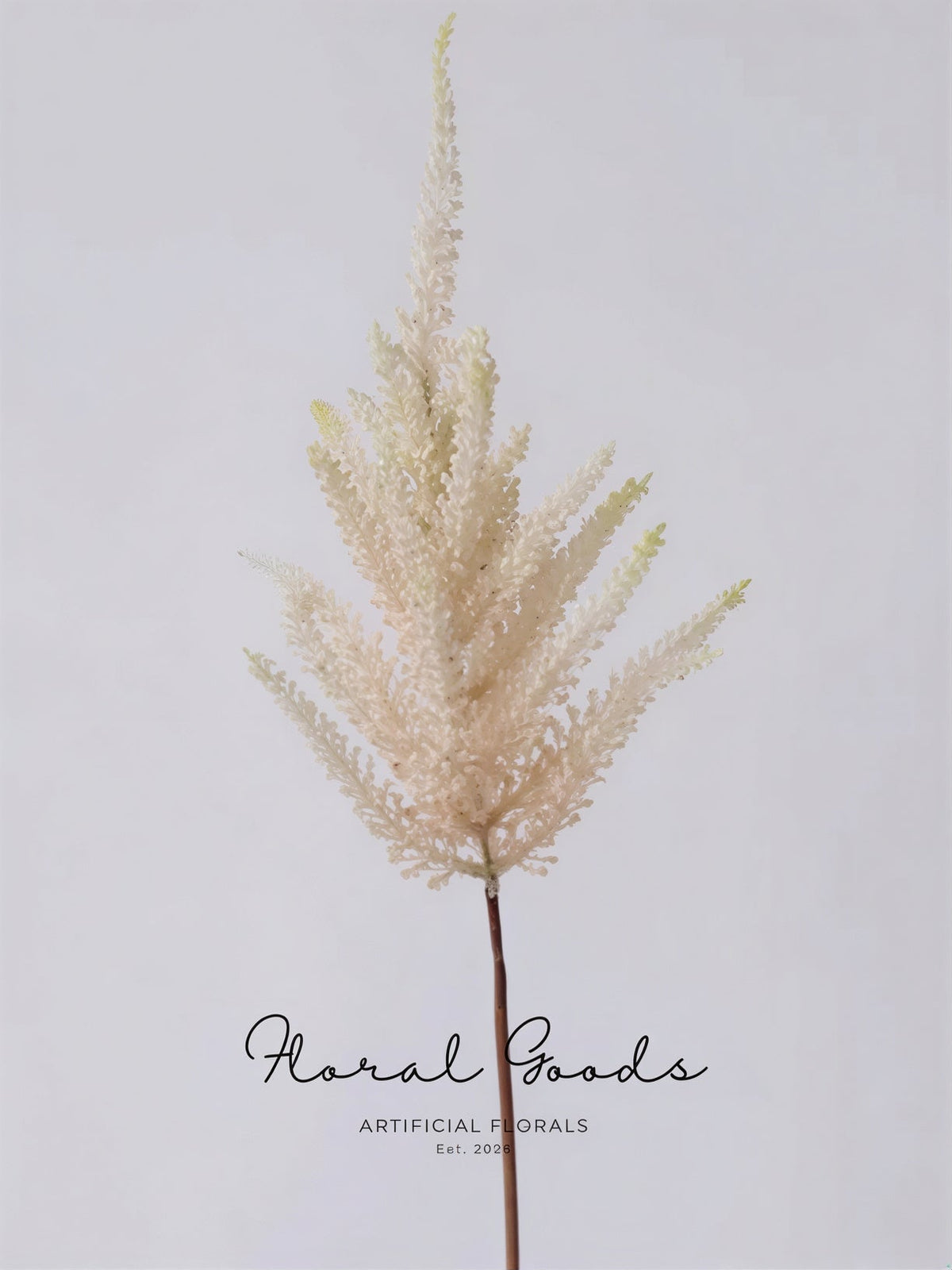 Blush Astilbe Spray