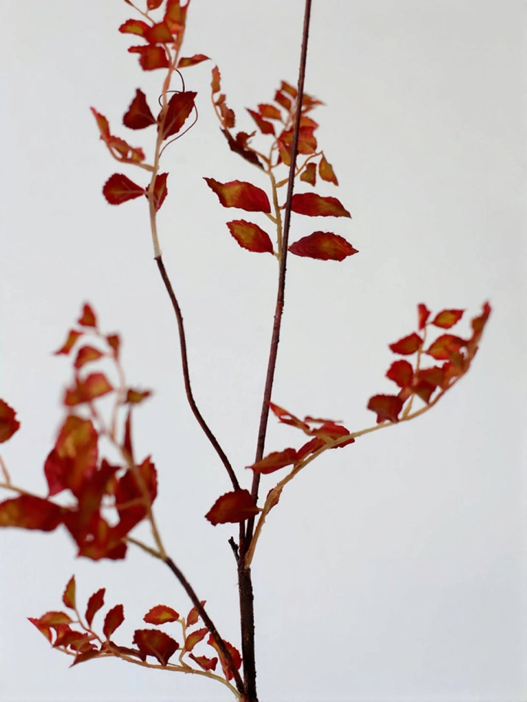 Airy Autumn Leaf Branch – 38"