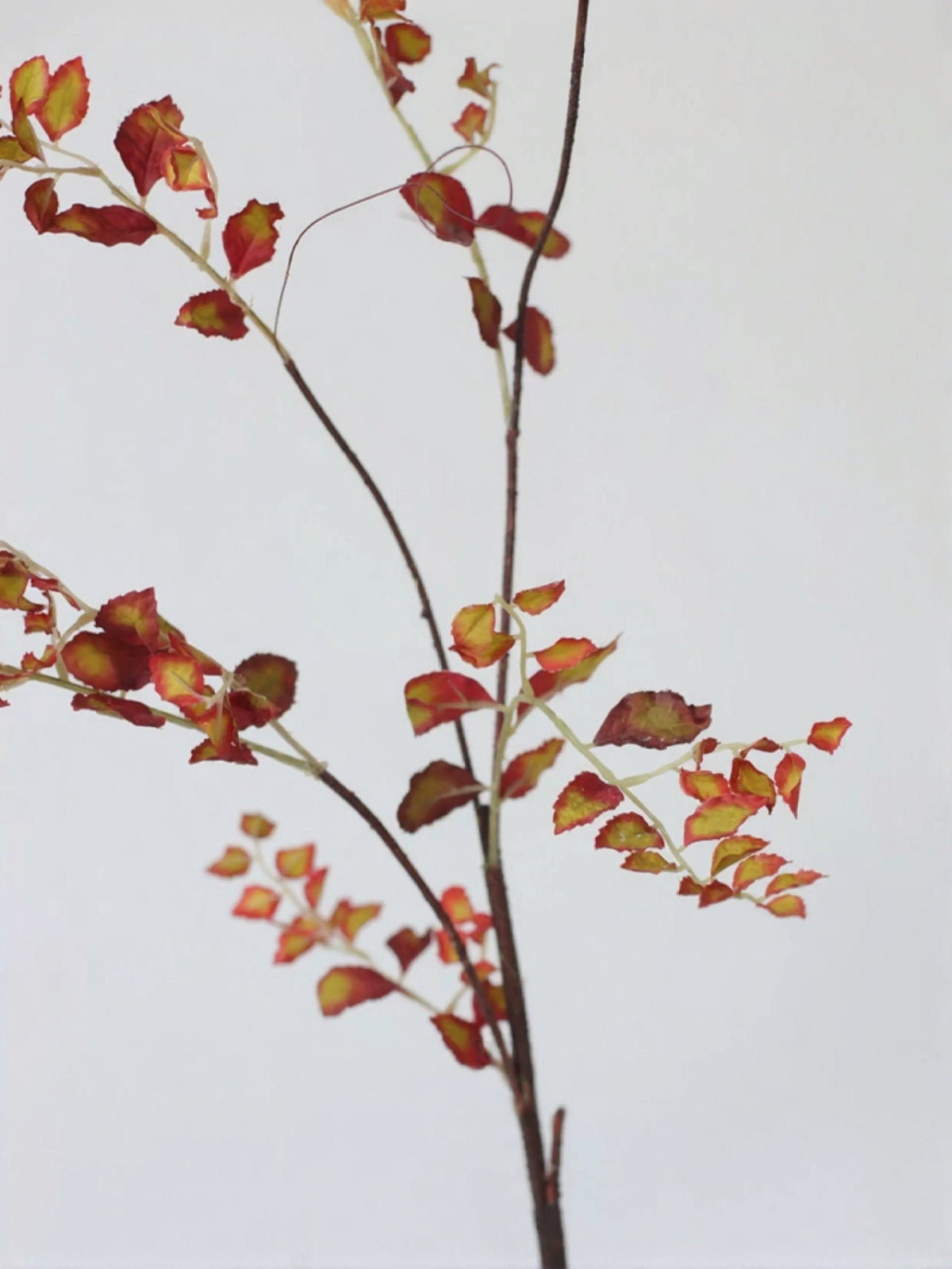 Airy Autumn Leaf Branch – 38"