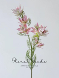 Blush Star Bloom Spray – 27"