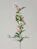 Airy Bellflower Stem – 31.5"