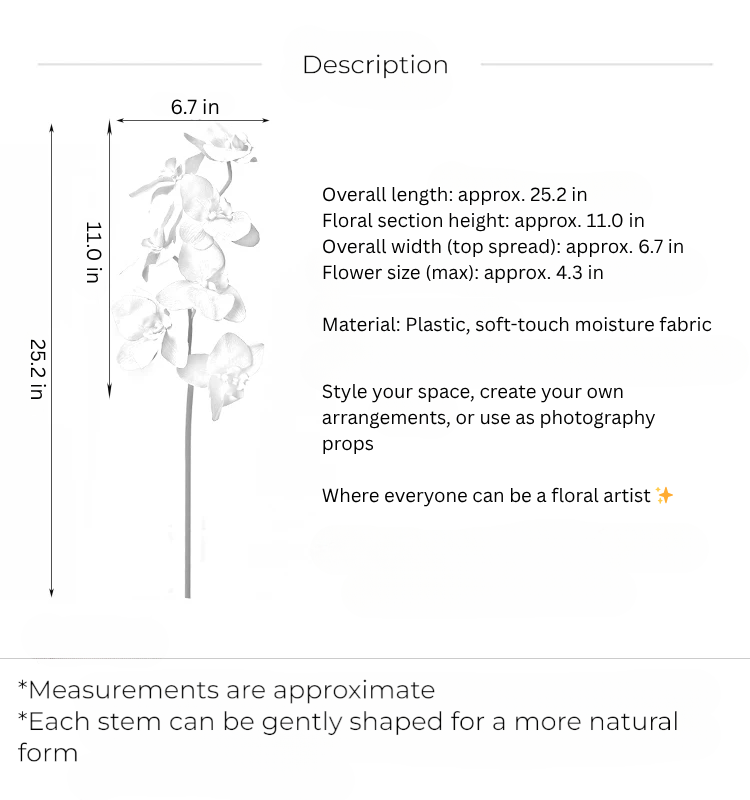Butterfly Orchid Stem – 25"