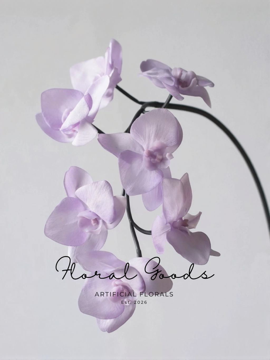 Butterfly Orchid Stem – 25"
