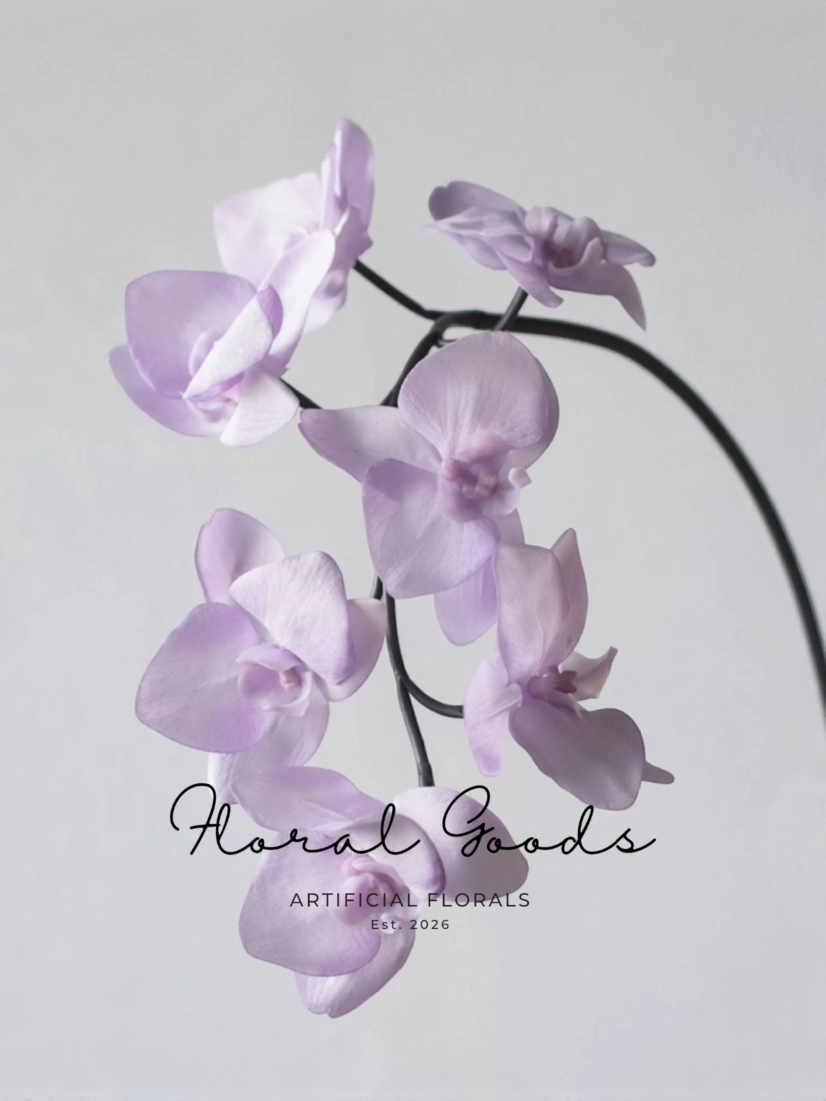 Butterfly Orchid Stem – 25"