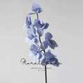 Butterfly Orchid Stem – 25"
