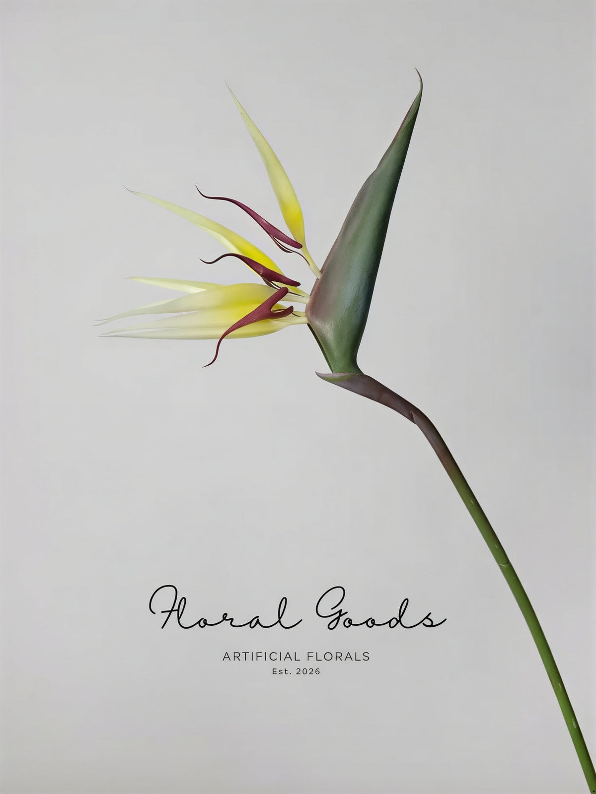 Bird of Paradise Stem – 29.5"
