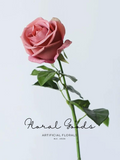 Blush Pink Rose Stem – 25.5"
