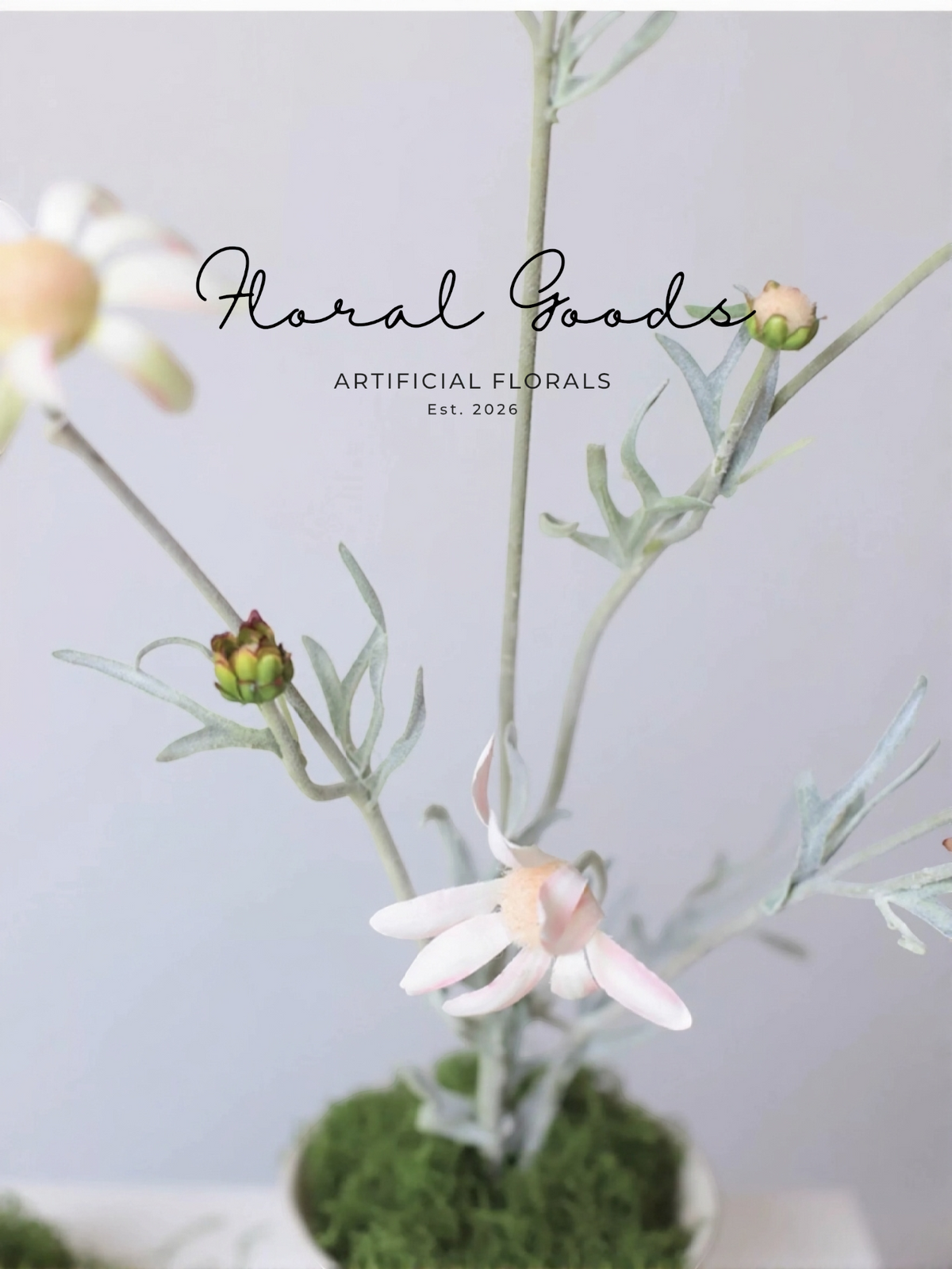 Blush Flannel Flower Spray – 32.3"